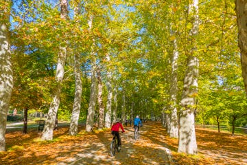 dos ciclistas en la casa de campo de madrid