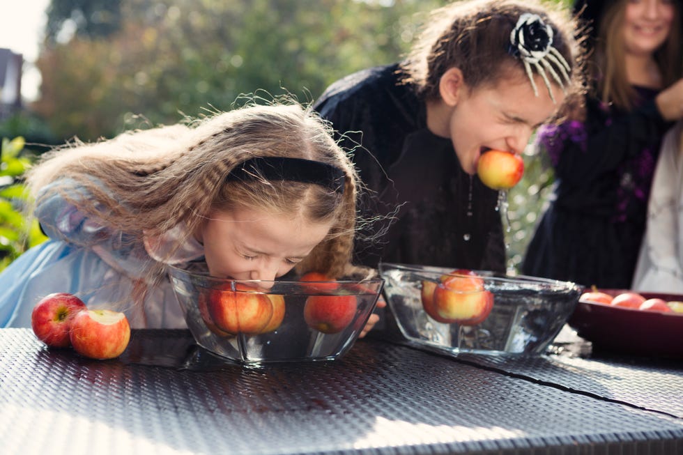 Two older children playing Halloween bobbing for apples game Two older children playing Halloween bobbing for apples game