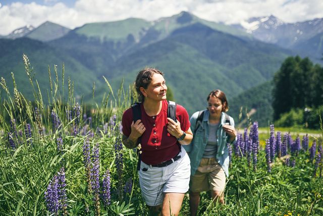 two women hiking through a field of purple lupine flowers. mountains in the background on a sunny day.