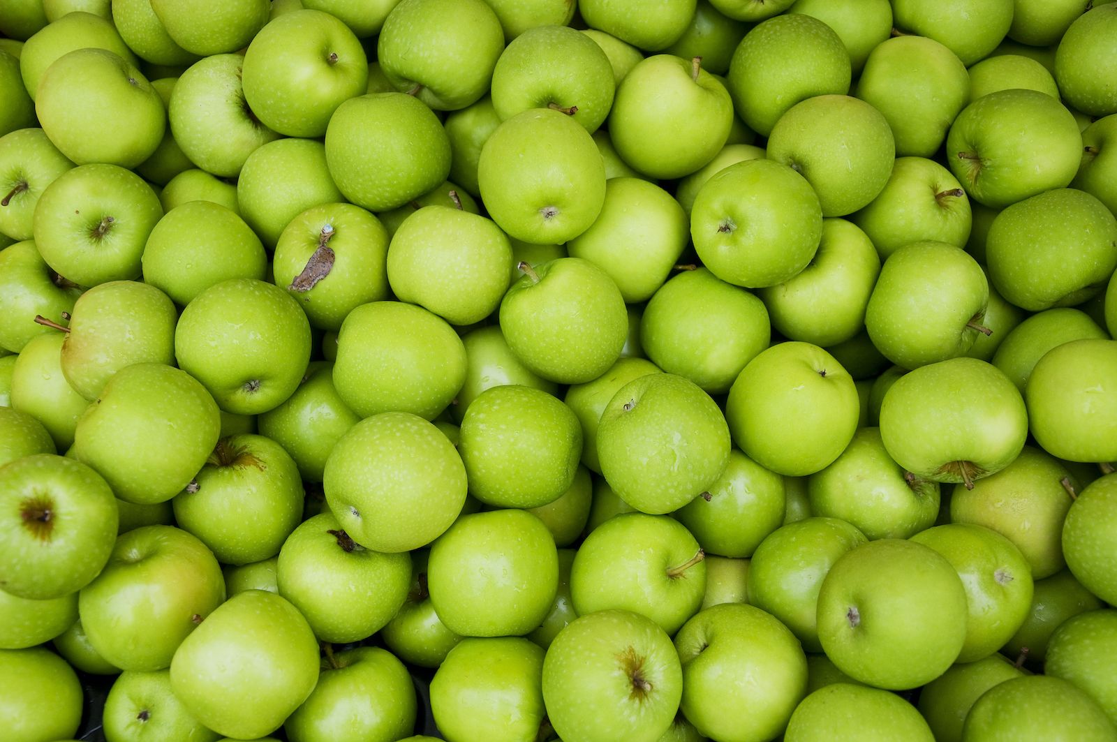 Granny Smith  the accidental apple