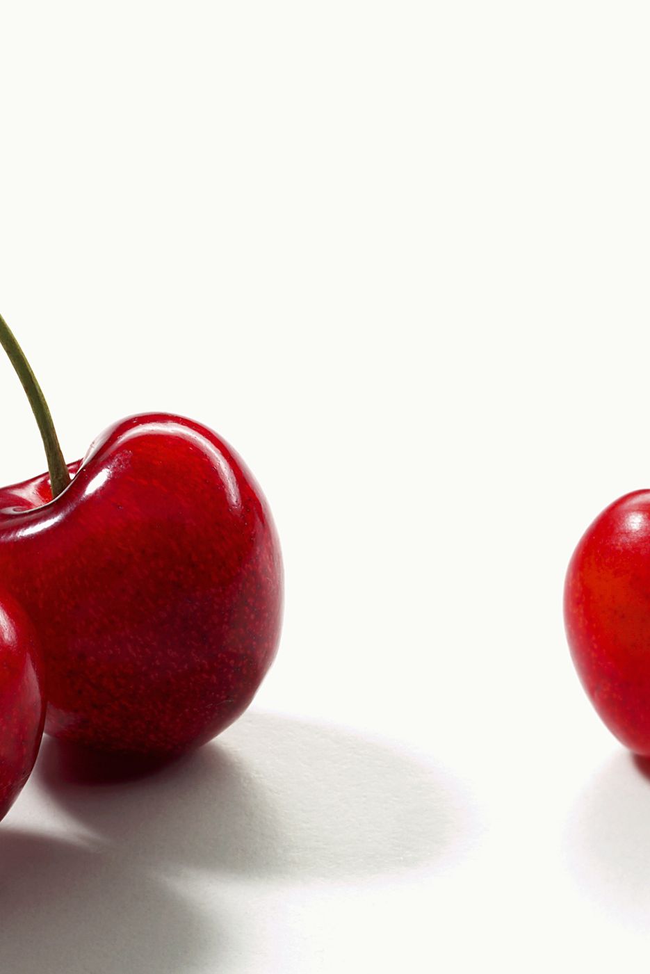 types of cherries morello