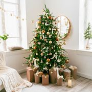 types of christmas trees, white and spacious domestic living room decorated with christmas fir tree