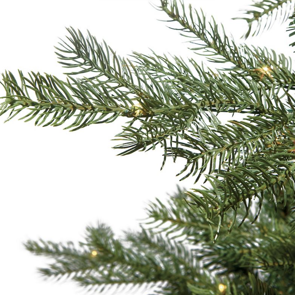 Premium Photo  Evergreen branches of christmas tree in pine forest.  close-up view of fir natural fir branches ready for festive decoration for  xmas and happy new year, decorate holiday winter season