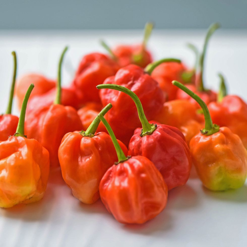 red hot chilli peppers called scotch bonnet on white background