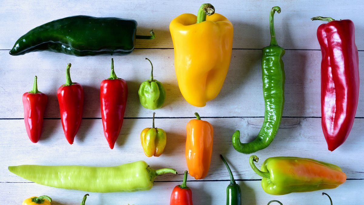 https://hips.hearstapps.com/hmg-prod/images/types-of-hot-peppers-644144dbbd304.jpg?crop=1xw:0.7982622161046111xh;center,top&resize=1200:*