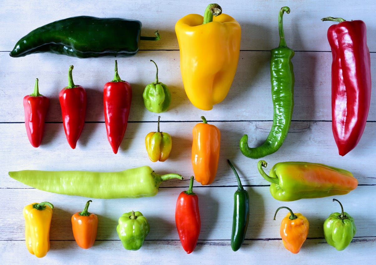 Spicy jane pepper plants