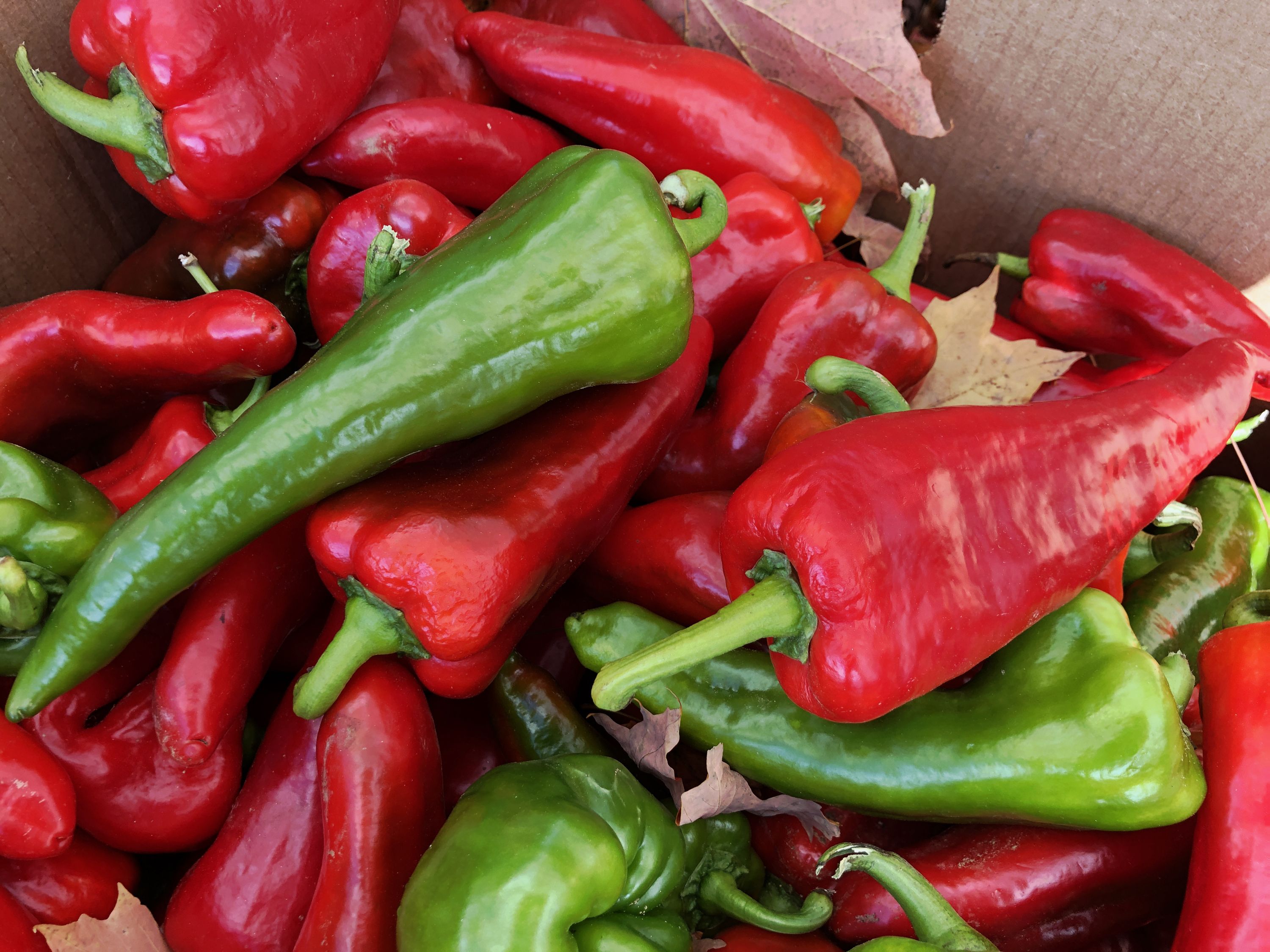 Types of Peppers - 10 Different Kinds of Peppers and Their Uses