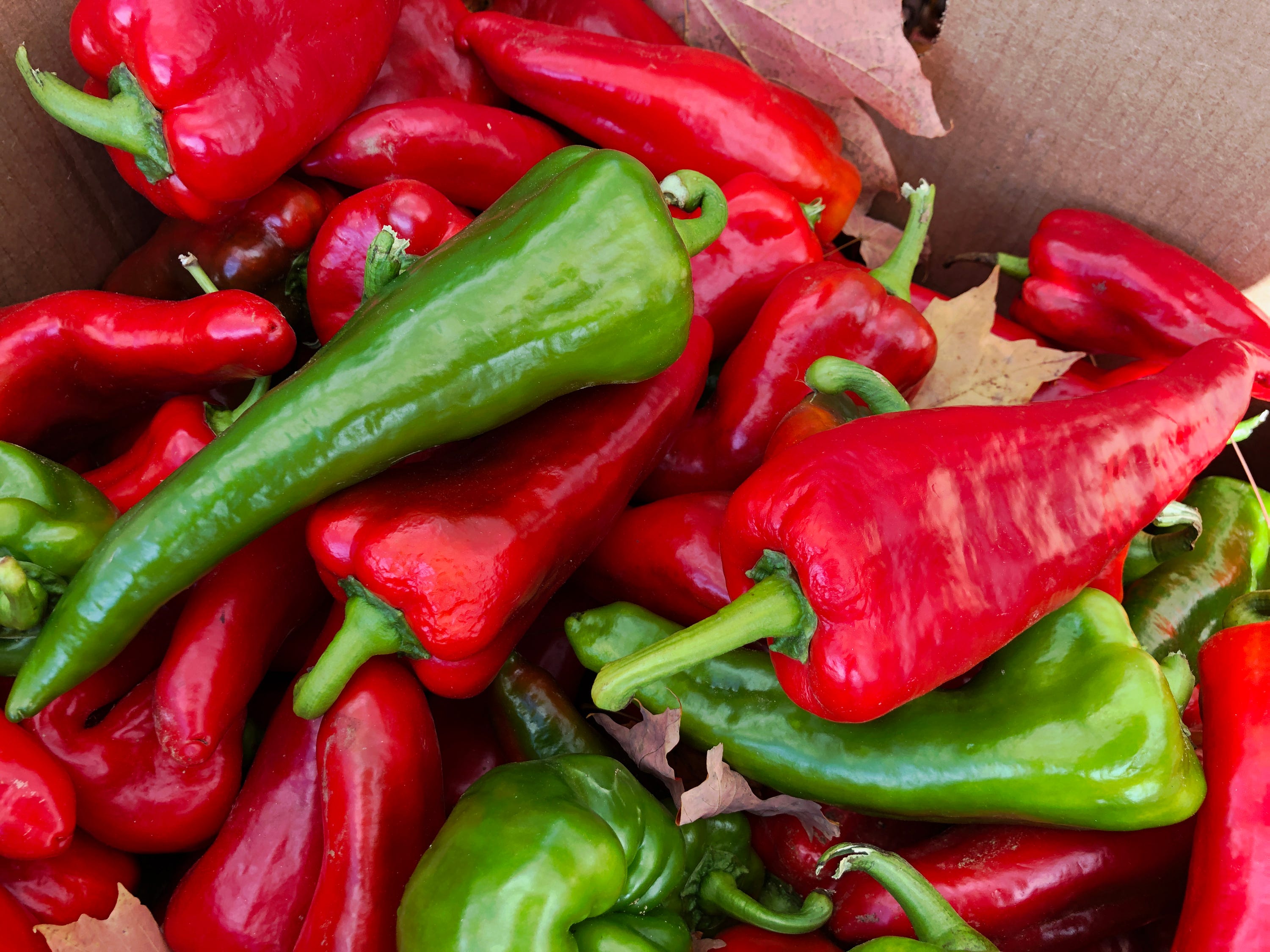 12 Types of Hot Peppers - Guide to Different Hot Peppers