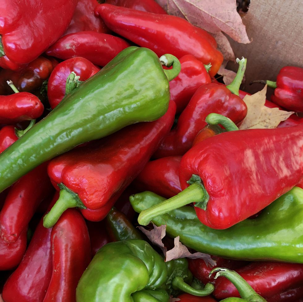 12 Types of Hot Peppers - Guide to Different Hot Peppers