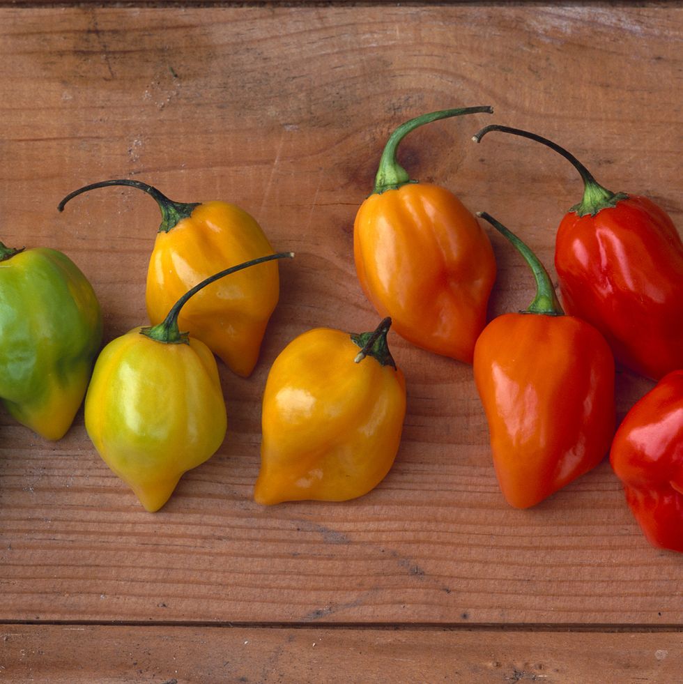 assortment of hot red, green, yellow, and orange peppers on wood surface