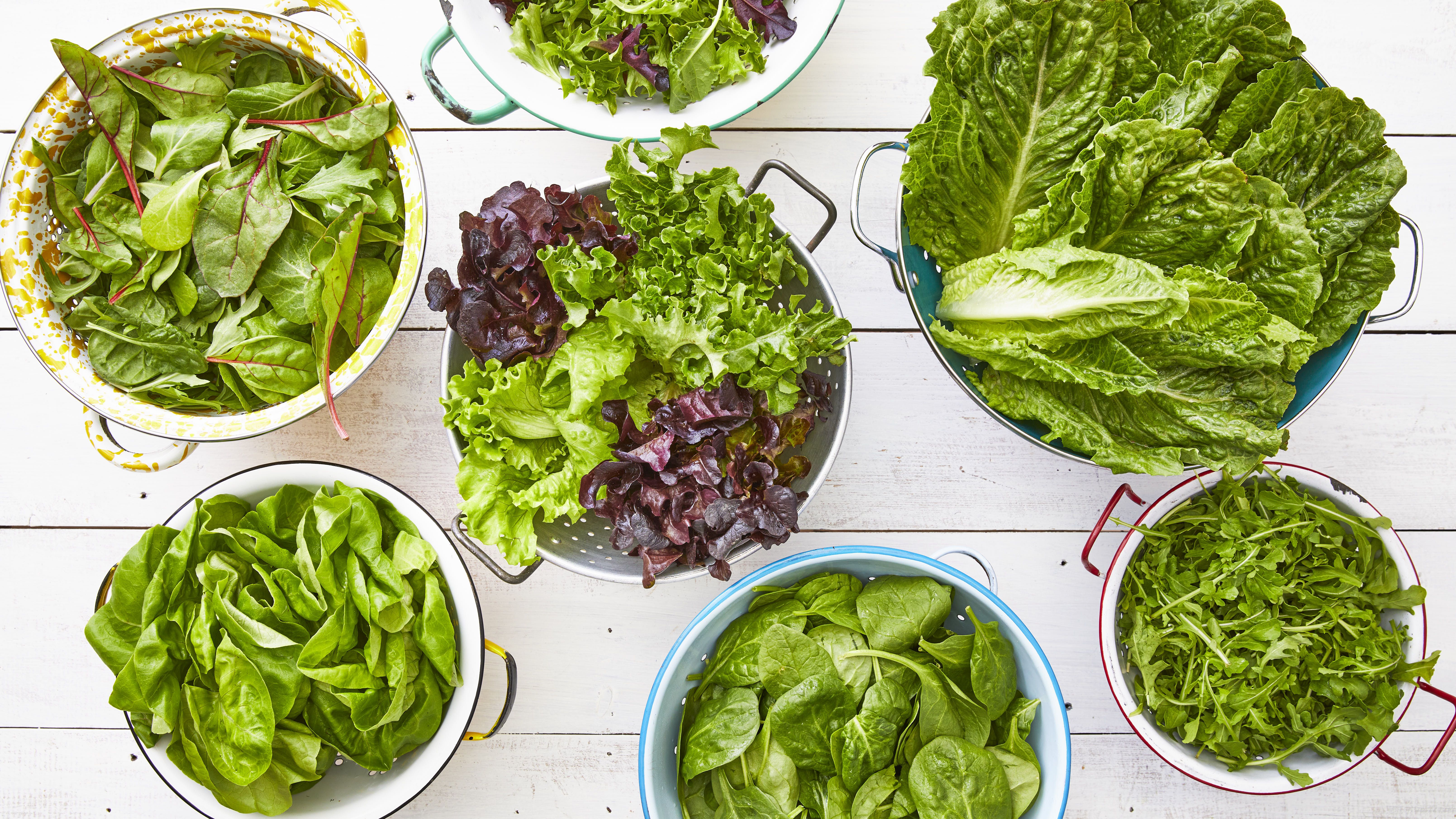 20 Types of Lettuce - Different Kinds of Lettuce and How to Use Them