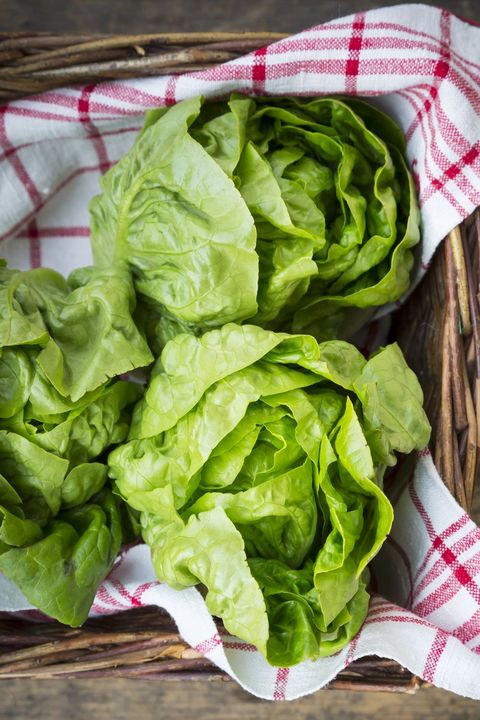 types of lettuce bibb