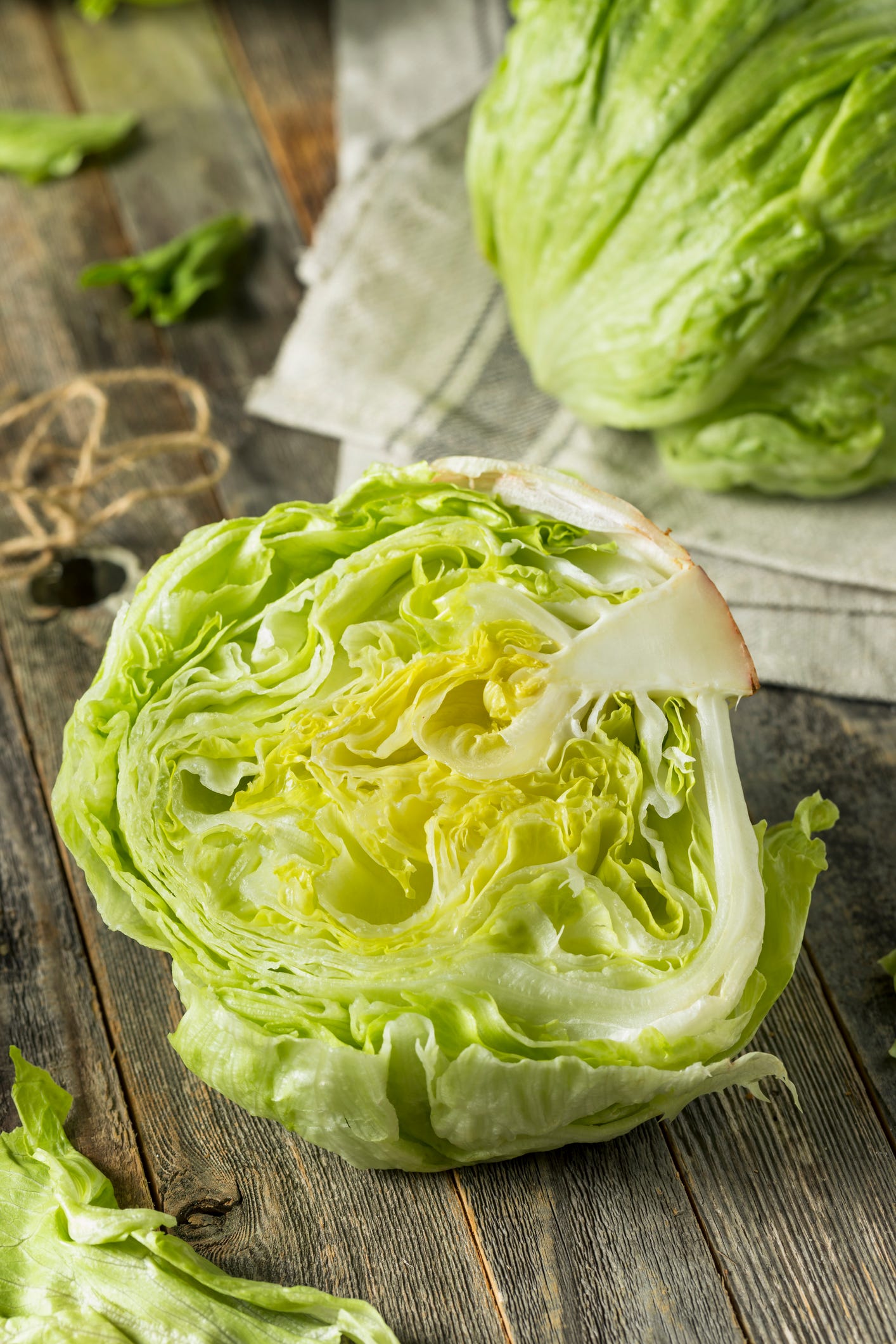 20 Types of Lettuce - Different Kinds of Lettuce and How to Use Them