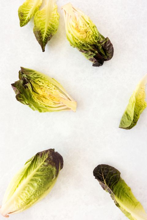 types of lettuce little gem