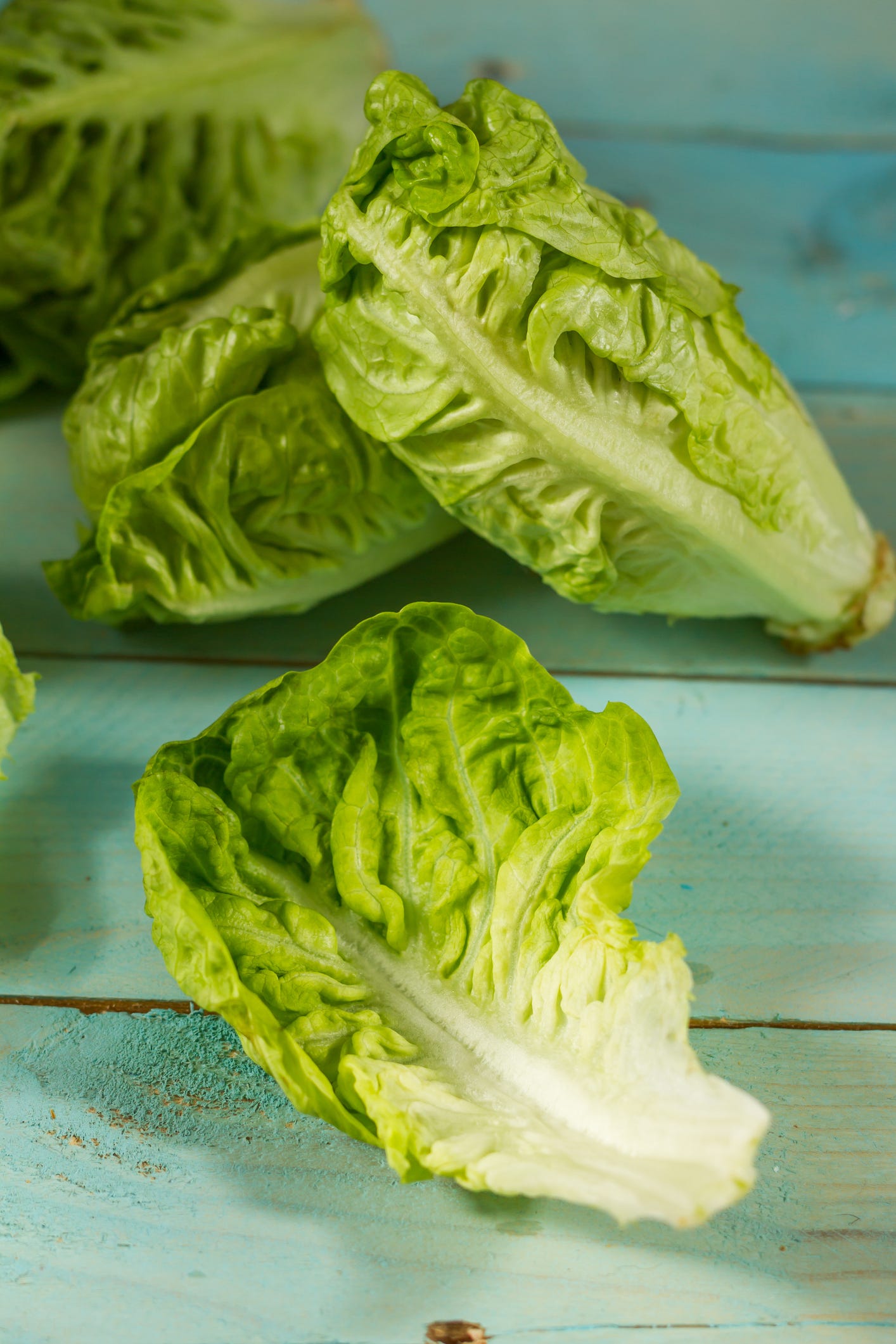 20 Types of Lettuce - Different Kinds of Lettuce and How to Use Them