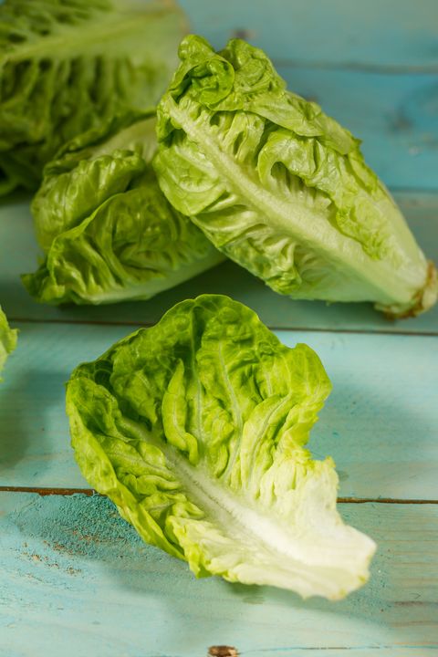types of lettuce romaine