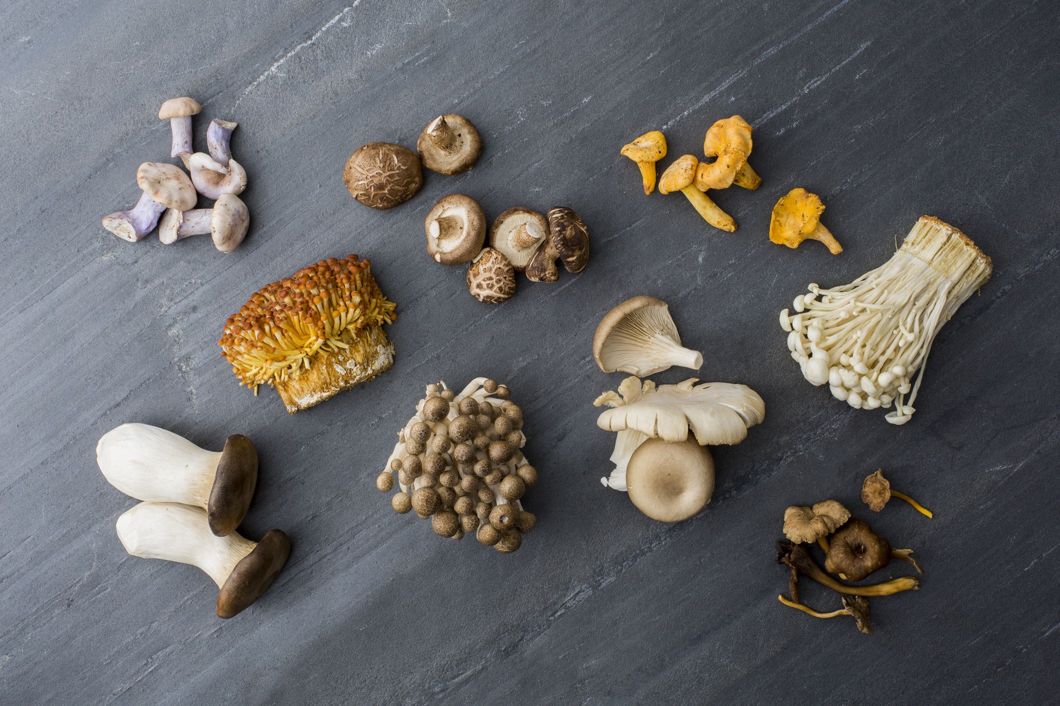 12 Different Types Of Mushrooms - Most Common Kinds Of Edible Mushrooms