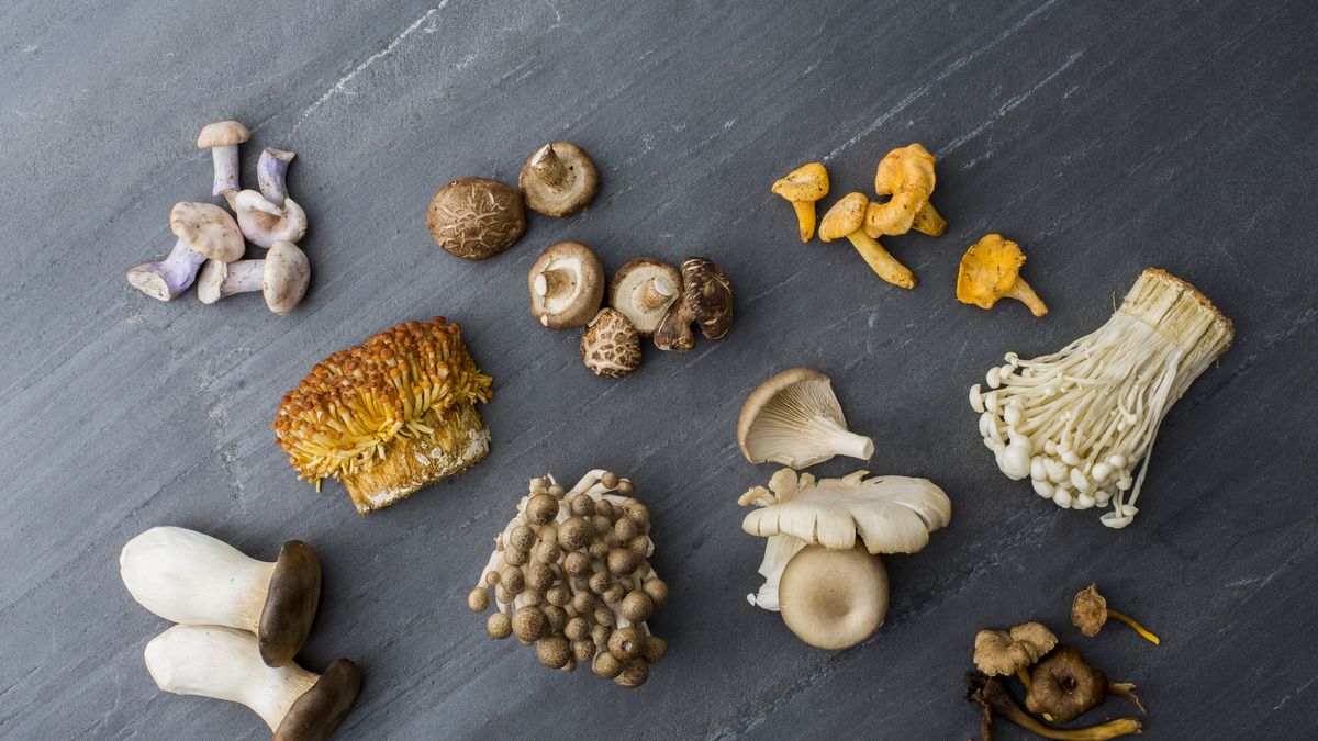 preview for 5 Health Benefits of Mushrooms