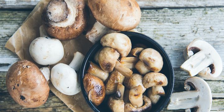 types of mushrooms