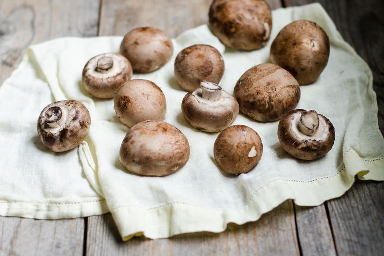 Different Types of Mushrooms (and Recipes!) • Oh Snap! Let's Eat!