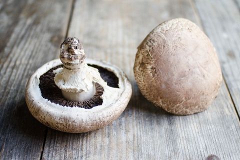 types of mushrooms portobello