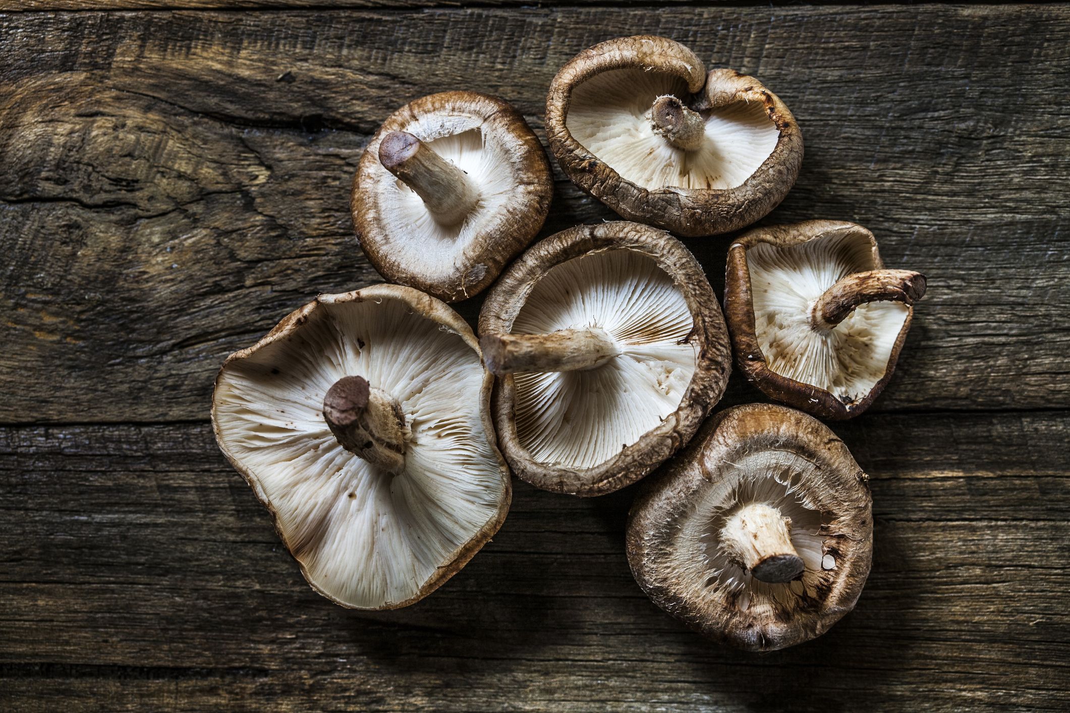 Different Types of Mushrooms (and Recipes!) • Oh Snap! Let's Eat!