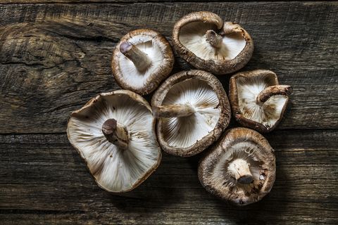 types of mushrooms shiitake