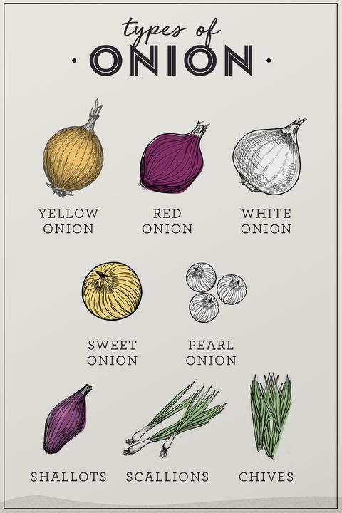 types of onion yellow onion, red onion, white onion, sweet onion, pearl onion, shallots, scallions, chives
