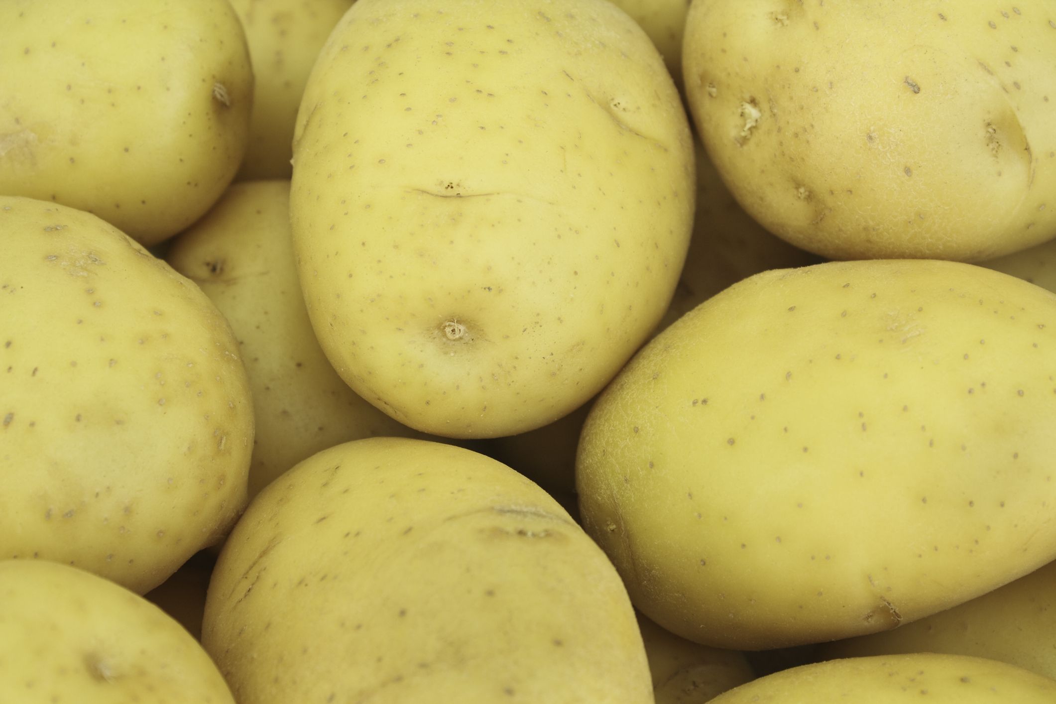 yellow potatoes