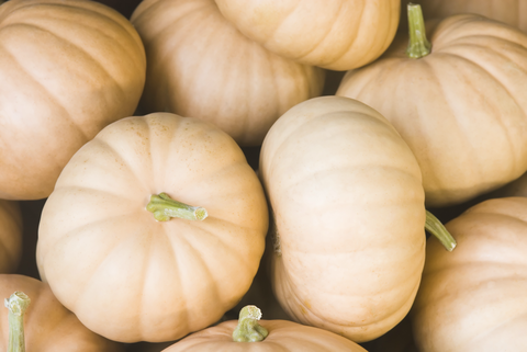 types of pumpkin like the long island cheese variety