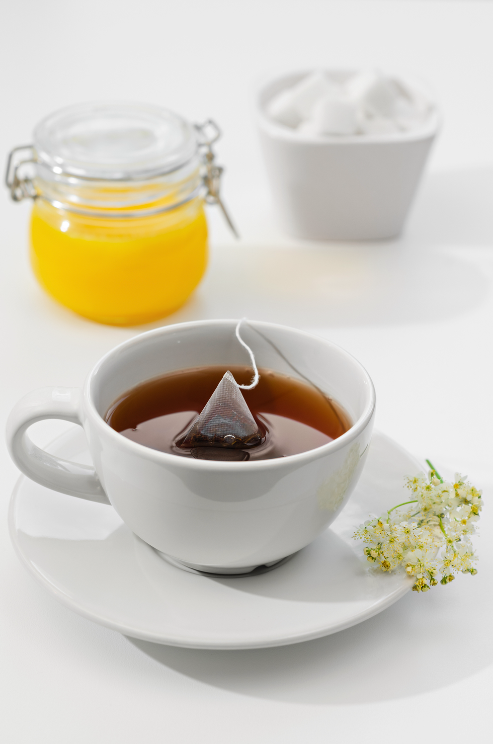 8 Types of Tea - Different Types of Tea