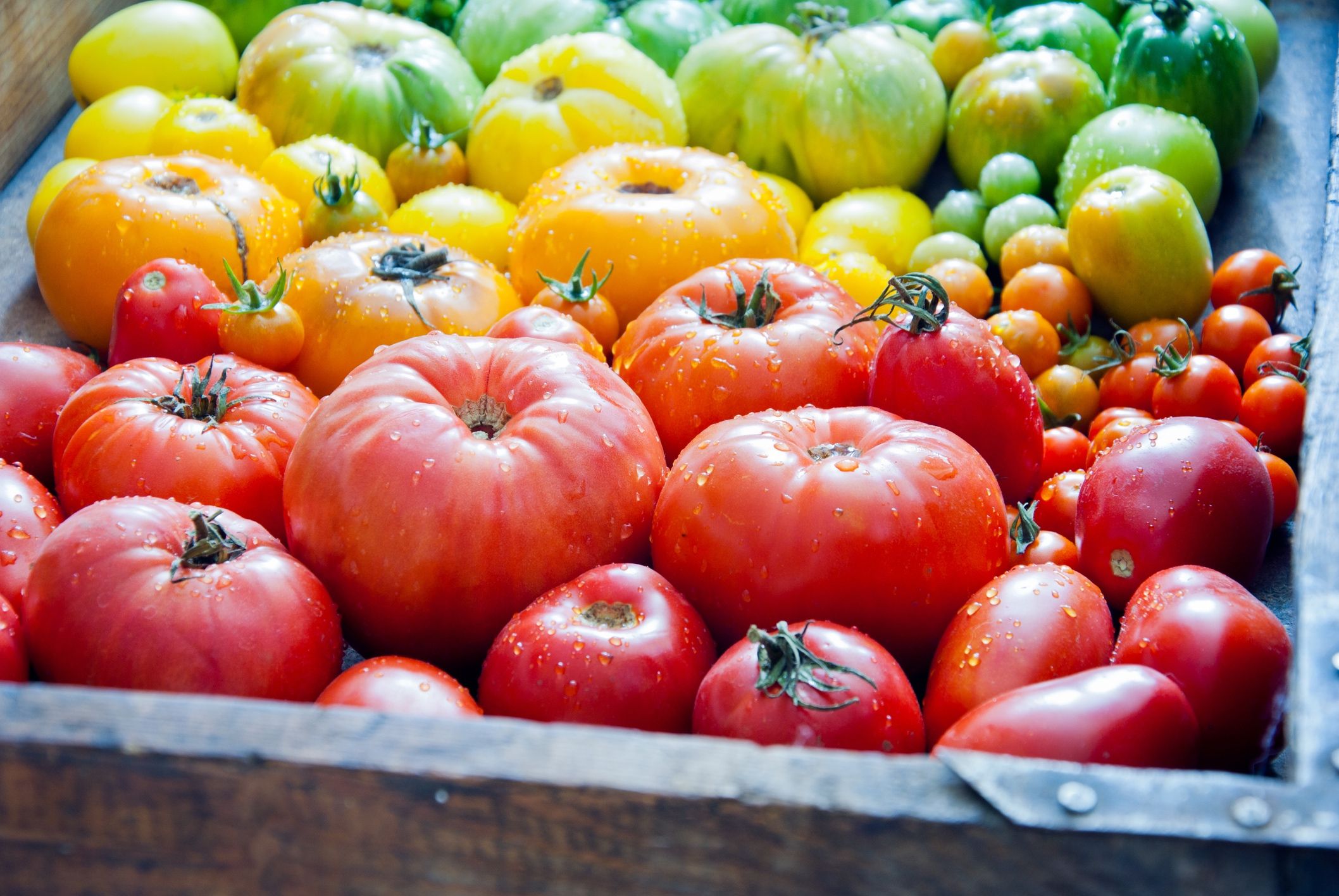 The Best Uses for Each Type of Tomato