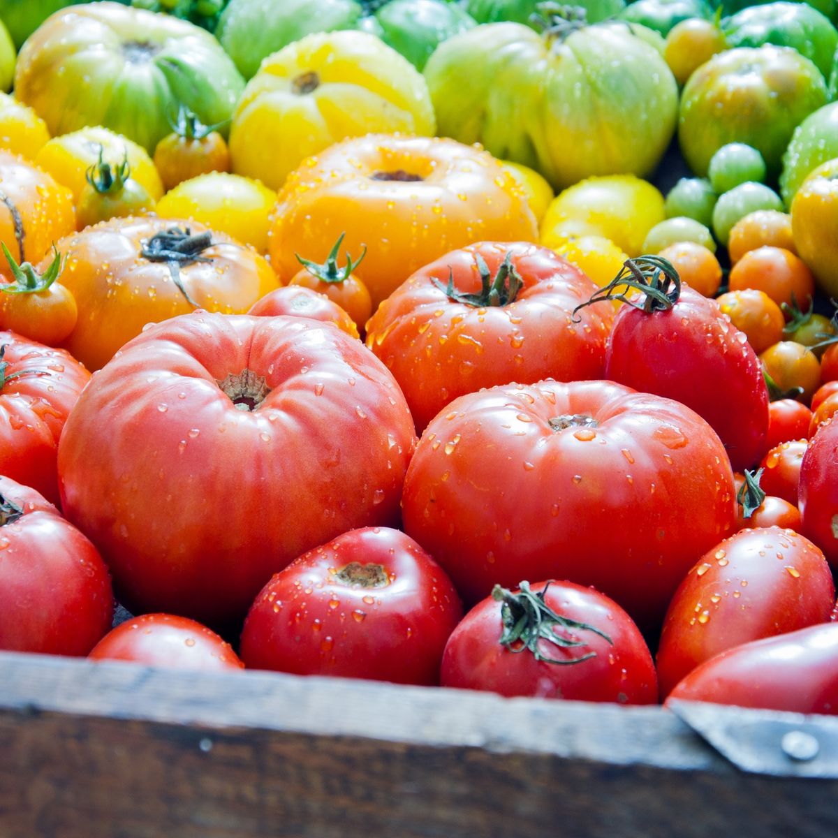 4 Best Types of Tomatoes to Grow for Your Favorite Recipes