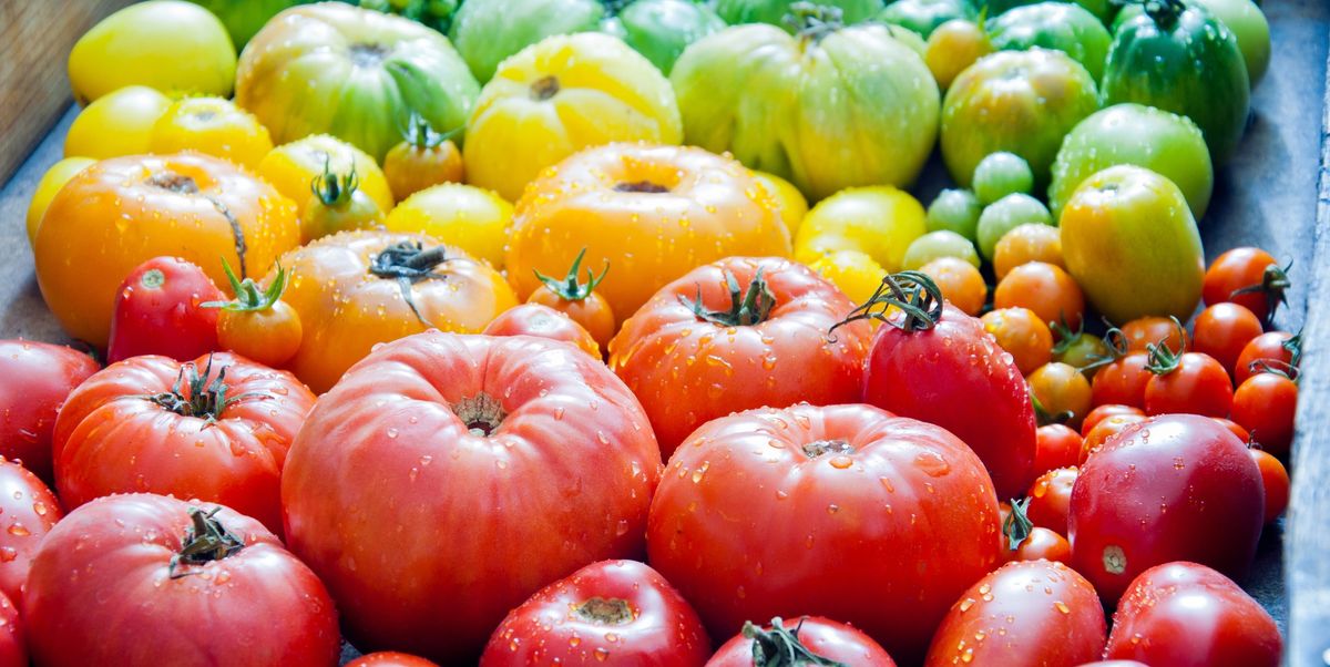 12 Types of Tomatoes - Different Tomato Varieties