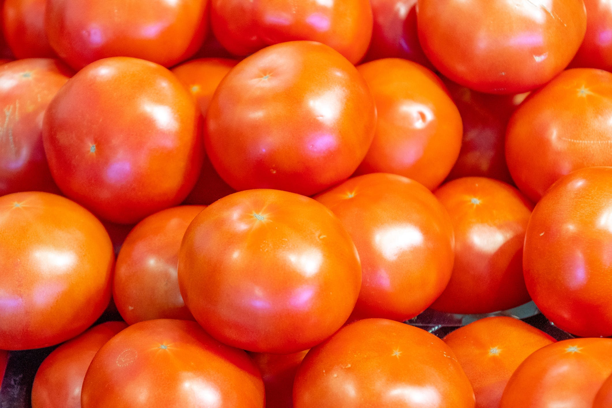 orange-tomatoes