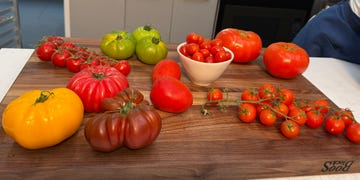 types of tomatoes