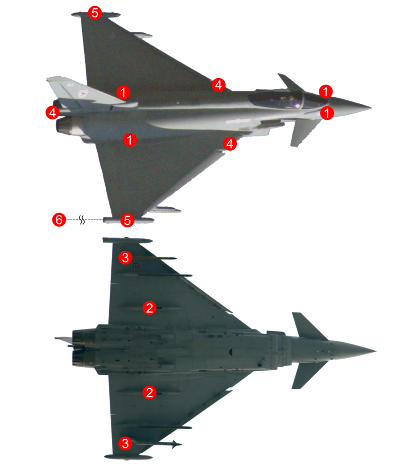 components of dass self defense system outlined on typhoon jet fighter