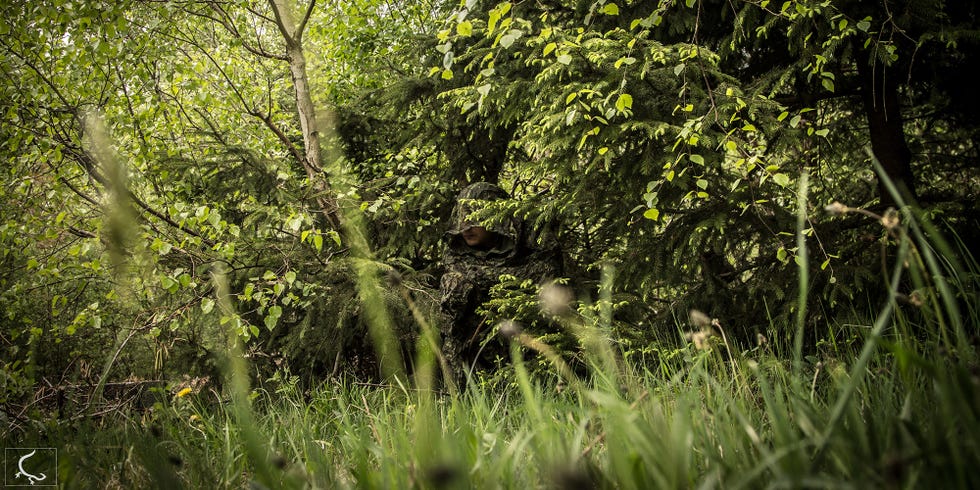 a man hiding in the trees with a camouflage suit