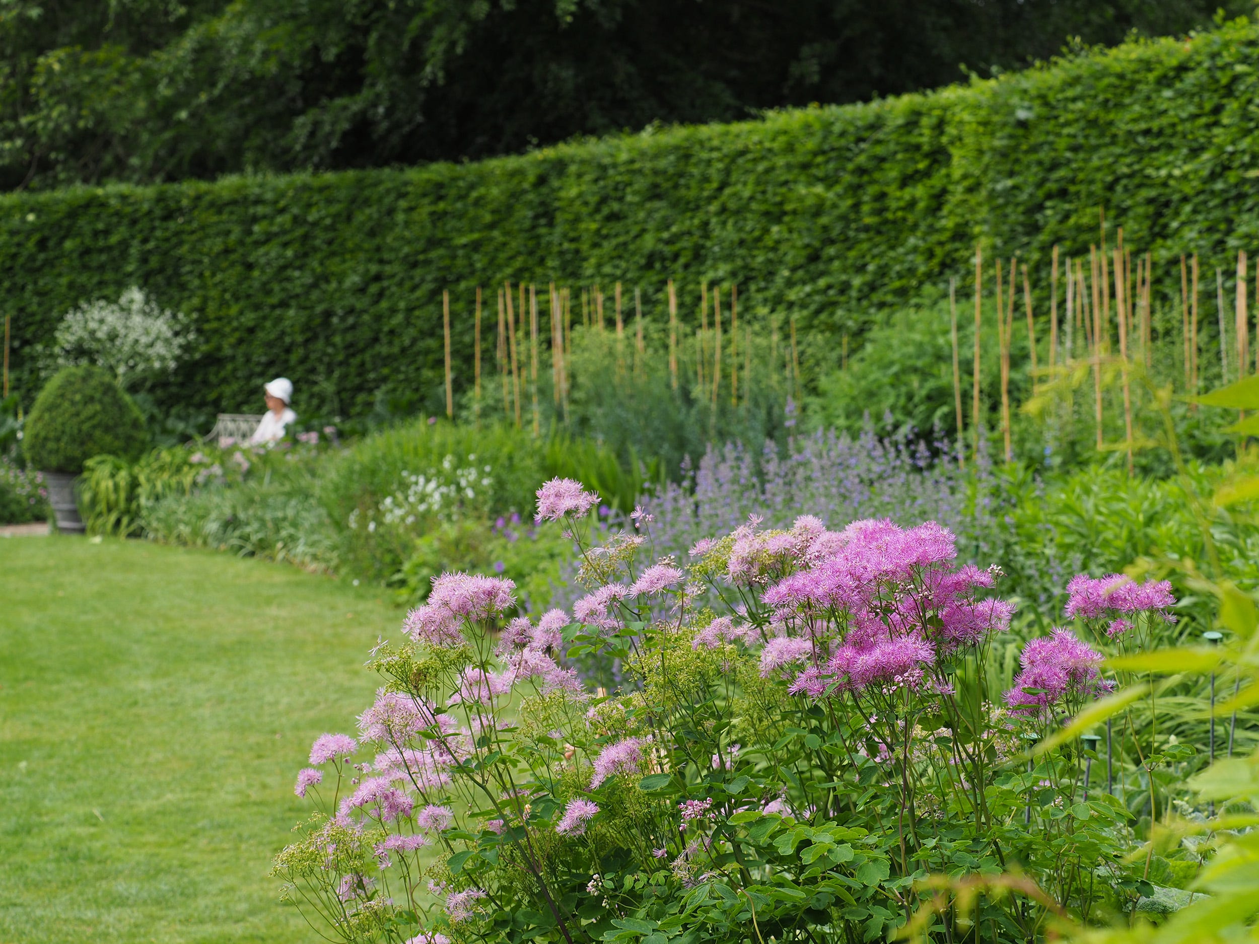 uk gardens   the herbaceous garden in june at anglesey abbey, cambridgeshire