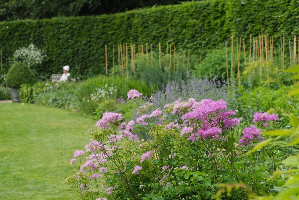 uk gardens   the herbaceous garden in june at anglesey abbey, cambridgeshire