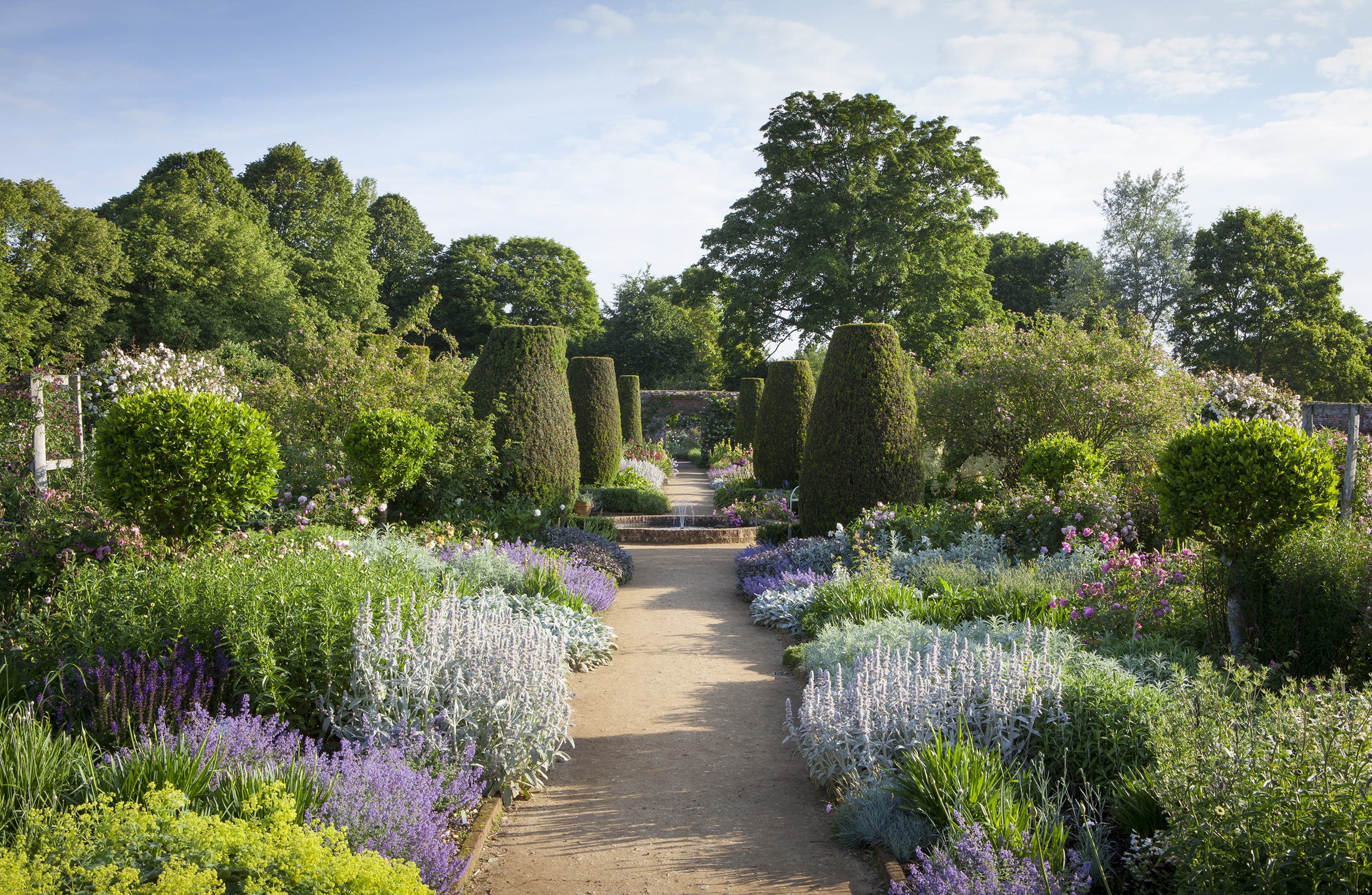 uk gardens   path through the rose garden in june at mottisfont, hampshire, with fountain and yew topiary pillars