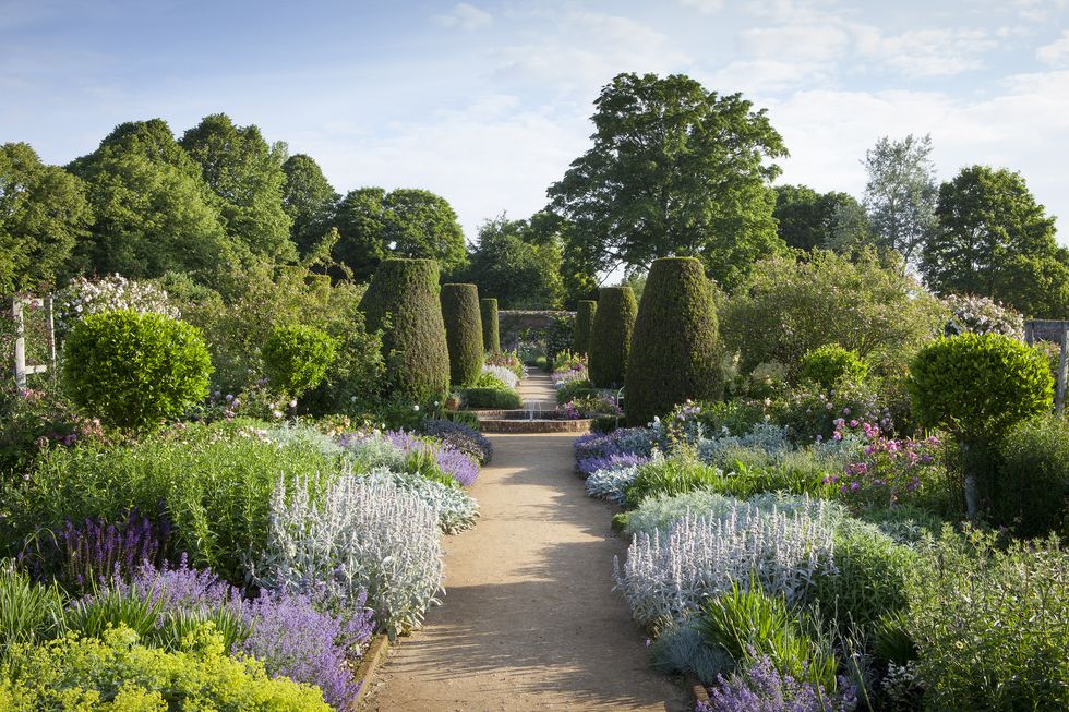 uk gardens   path through the rose garden in june at mottisfont, hampshire, with fountain and yew topiary pillars