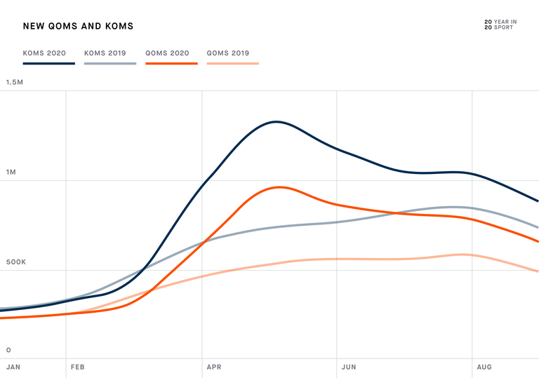 strava year in sport