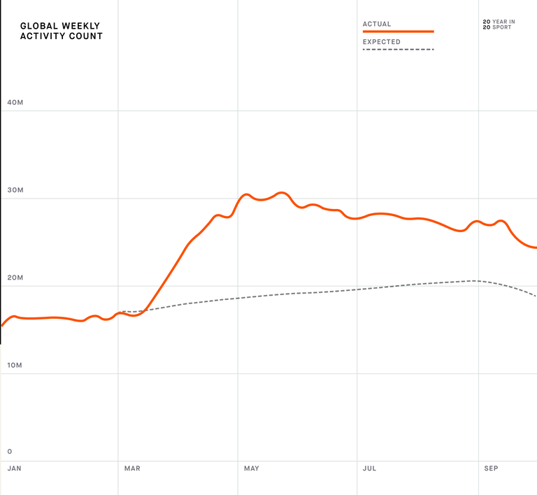 strava year in sport