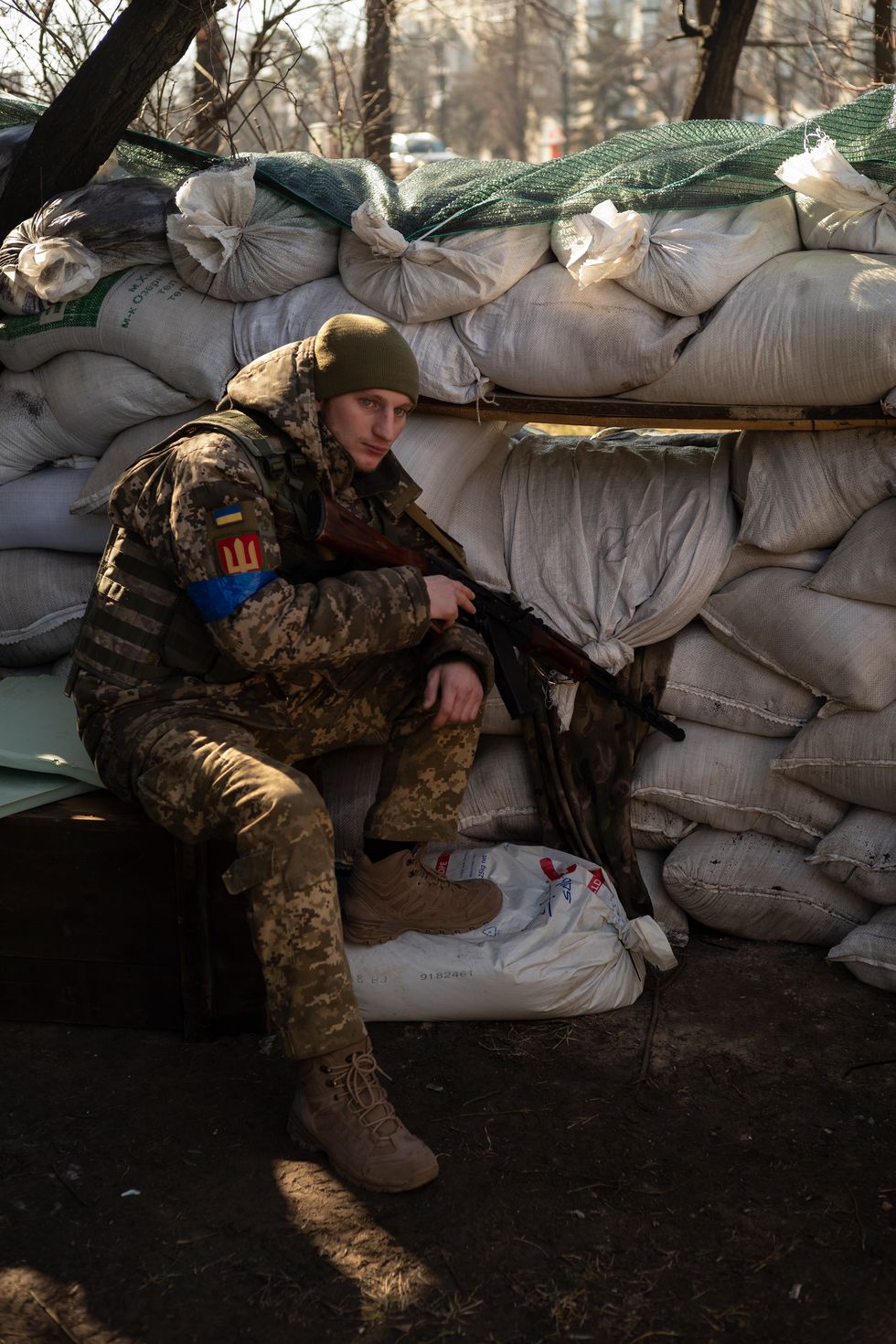 ukraine putin zalensky war territorial defense forces