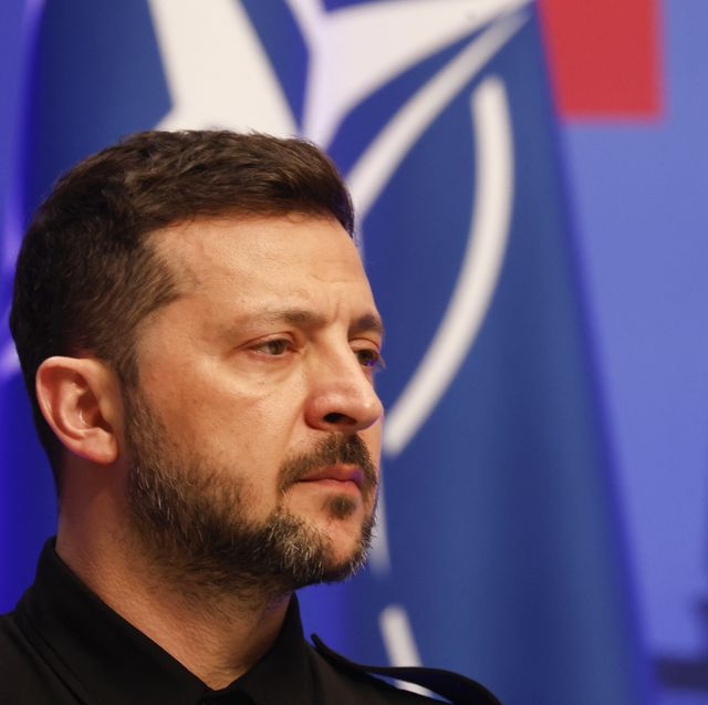 lithuania politics defence nato summit