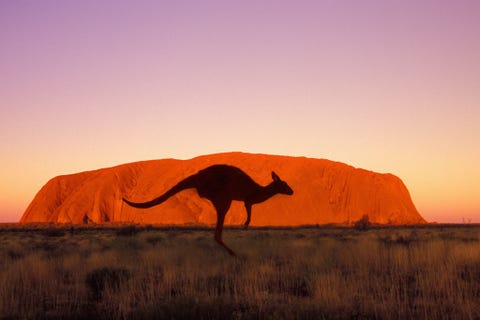 Uluru-Kata Tjuta National Park, Australia ULURUKATA TJUTA NATIONAL PARK AUSTRALIHet UluruKata Tjuta National Park wordt gezamenlijk beheerd door de inheemse Anangu en de Australische equivalent van Staatsbosbeheer in het Noordelijk Territorium Het park is beroemd om de rode rots Uluru die boven het land uittorent De rotsformatie ook wel Ayers Rock genoemd vormde lange tijd een bron van onenigheid tussen enerzijds de inheemse bevolking en anderzijds bezoekers die de gevaarlijke rots wilden beklimmen In oktober zal een langverwacht verbod op het beklimmen van Uluru van kracht worden maar het blijft wel gewoon mogelijk om langs de rotsen van Kata Tjuta te wandelen en in het park eeuwenoude rotstekeningen te bezoeken