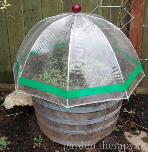 umbrella greenhouse