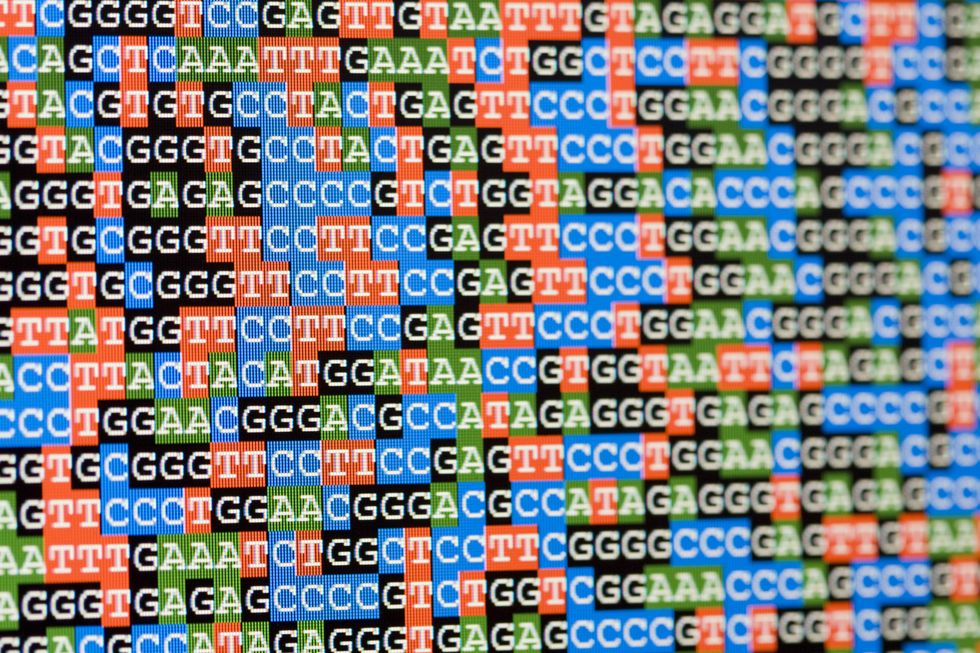 unaligned dna sequences viewed on lcd screen