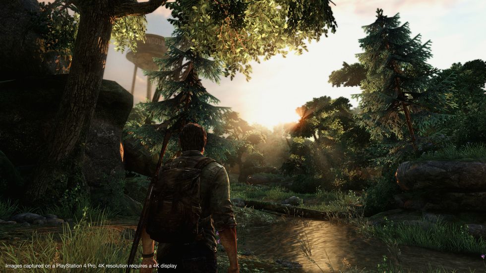 Nature, Pc game, Tree, Natural environment, Biome, Natural landscape, Screenshot, Morning, Sunlight, Action-adventure game, 